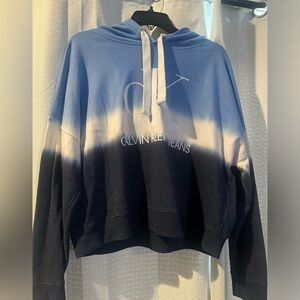 Ladies large ombré blue lightweight hooded sweatshirt.